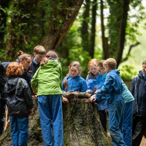 students gathered around a tree stump