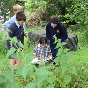 4 students looking at outside nature