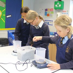 3 students working with lichen and moss