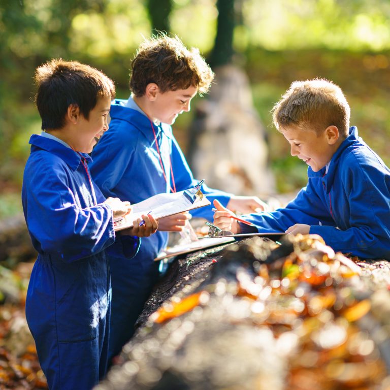 students working outside