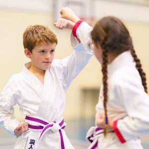 2 students in a martial art session