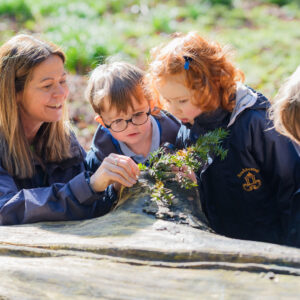 Teacher exploring natural items in the woodland with nursery children