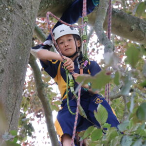 Tree climbing during enrichment week